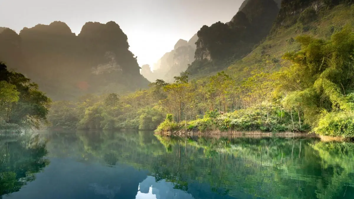 智能系统精密